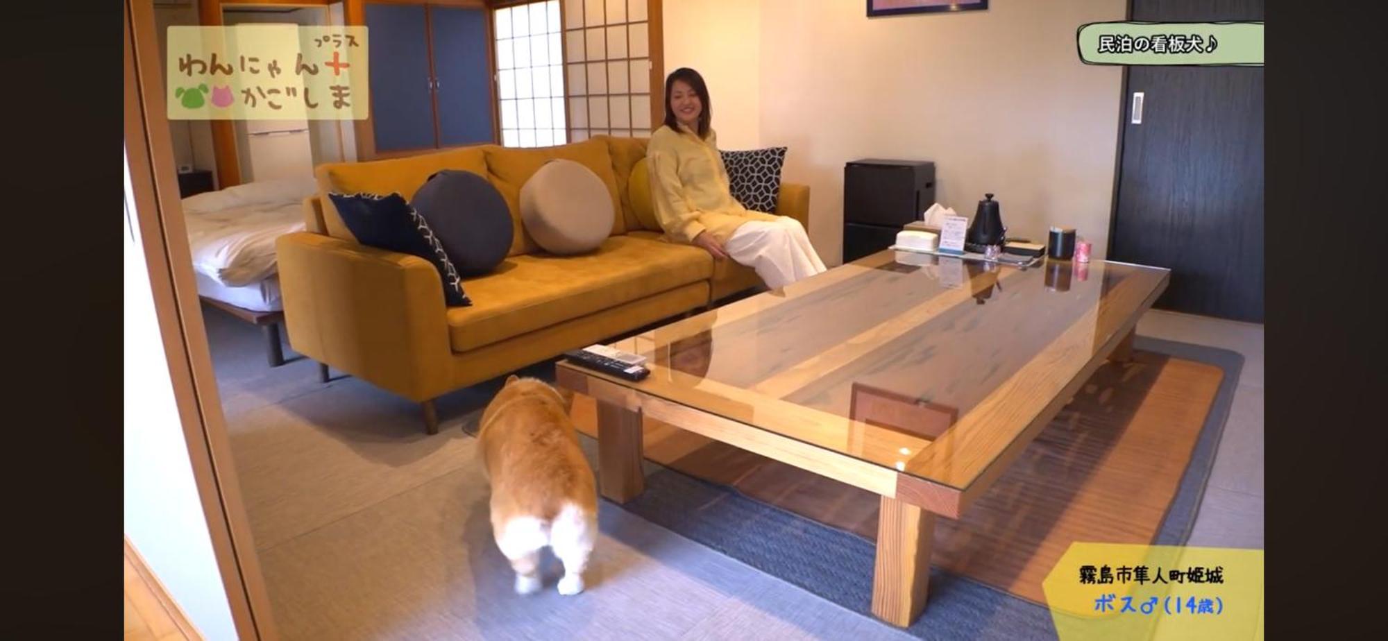 Boss'Shouse 犬ok 1組限定の宿 Kirishima Exteriör bild
